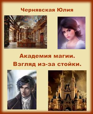 Академия магии 1. Взгляд из-за стойки