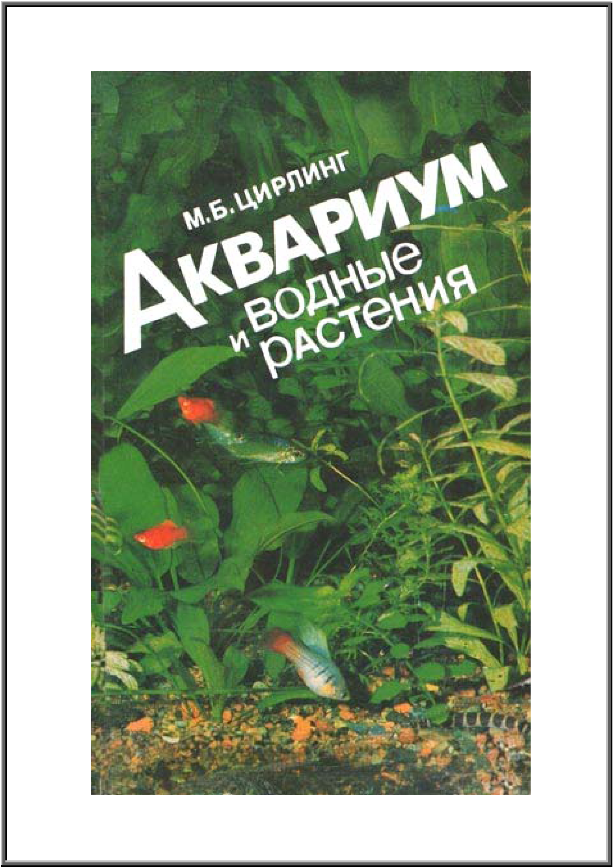 Аквариум и водные растения