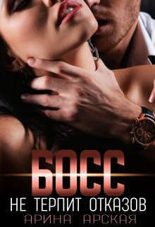Босс не терпит отказов (СИ)