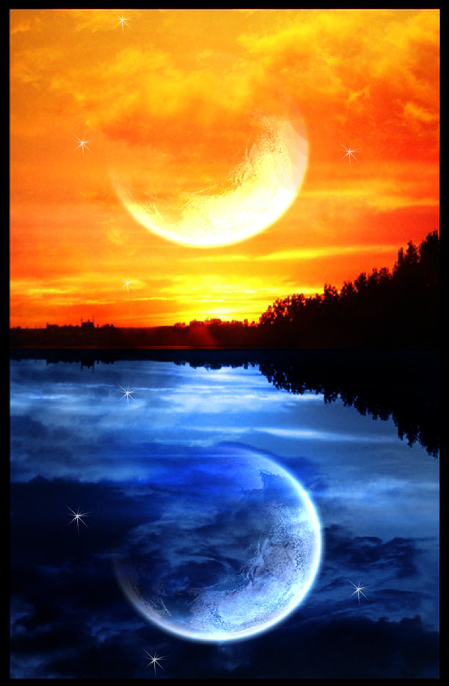 Черная кошка (СИ)