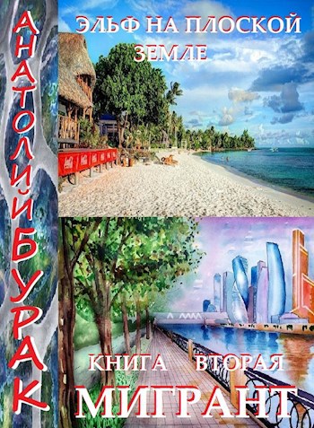 Эльф на плоской Земле. Книга 2. Мигрант.
