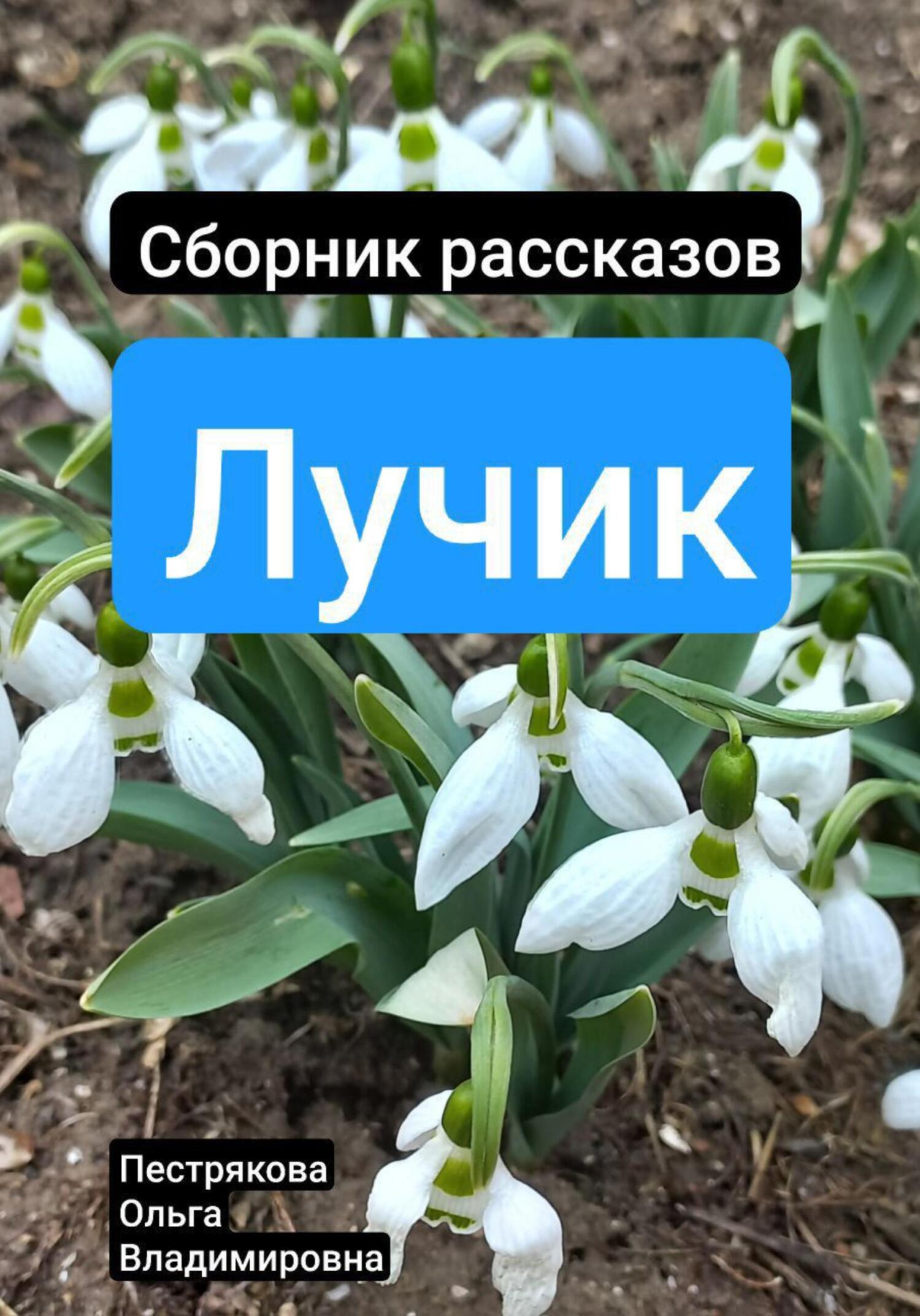 Лучик