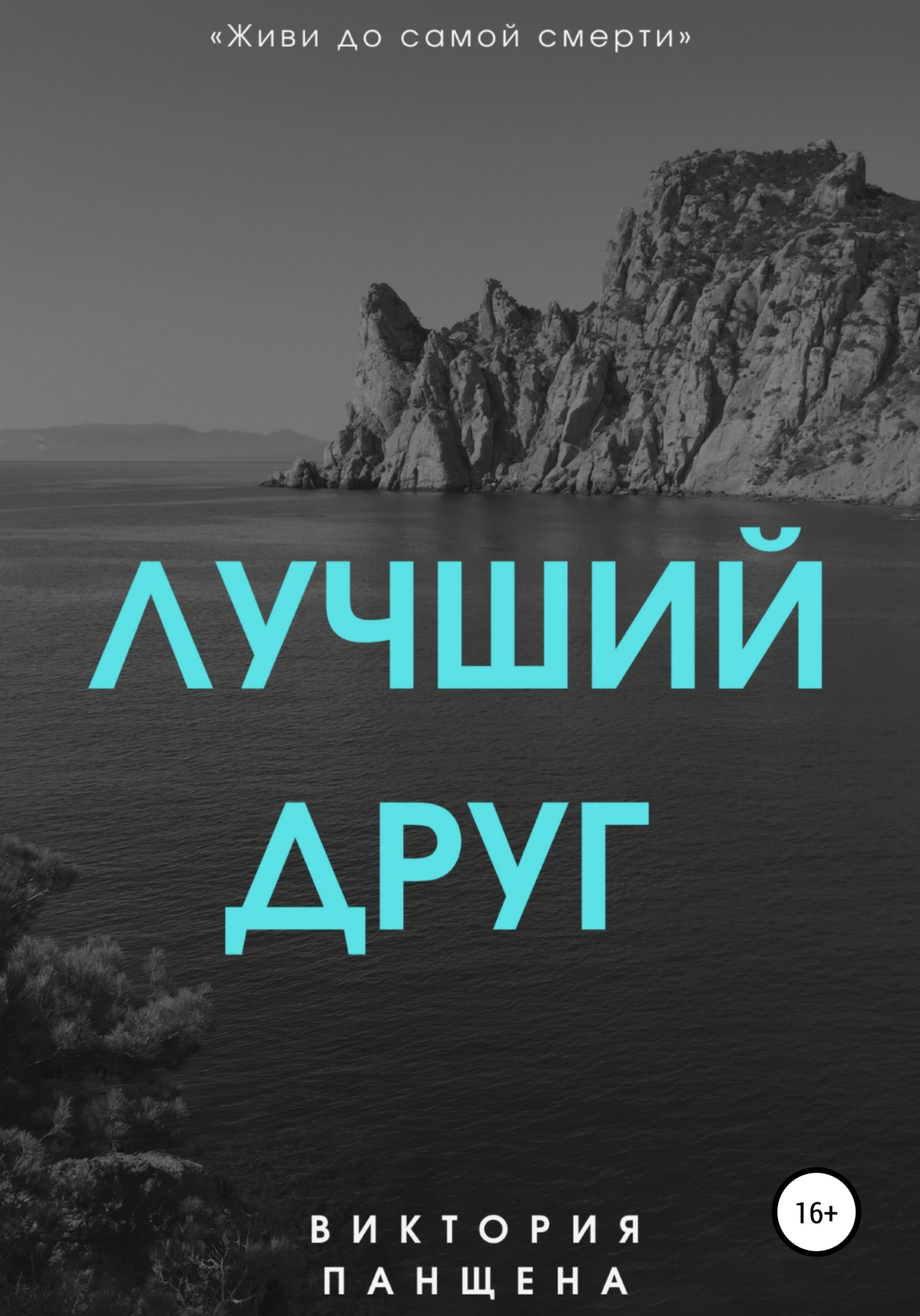 Лучший друг