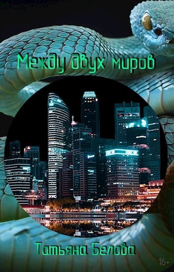 Между двух миров (СИ)