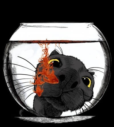 Пус Мидун (СИ)