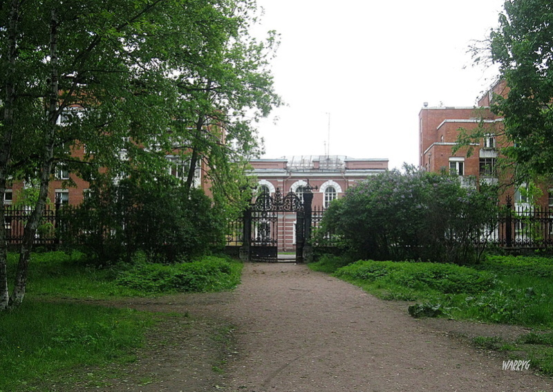 Развязка на Оккервиль, или Черёмуховый холод (СИ)