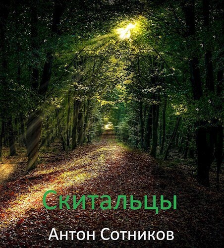 Скитальцы (СИ)