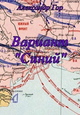 Вариант "Синий" (СИ)
